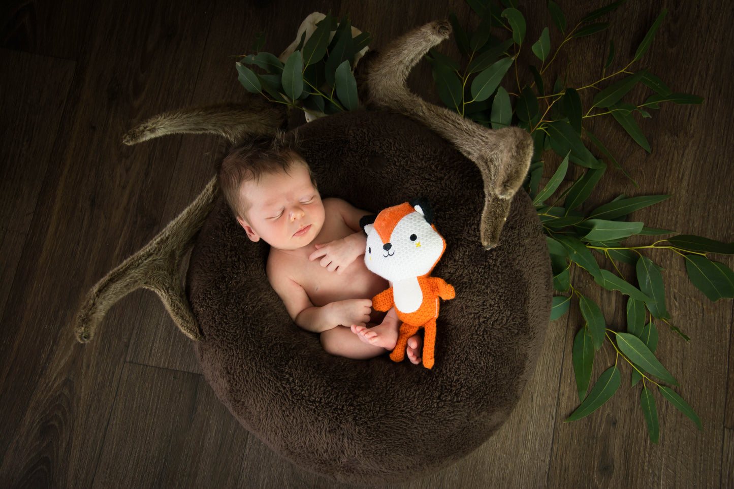Newborn Photography